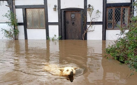 Exploring our Connection to All Living Beings 