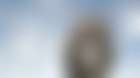 My Cat urinates outside the litter box.                           