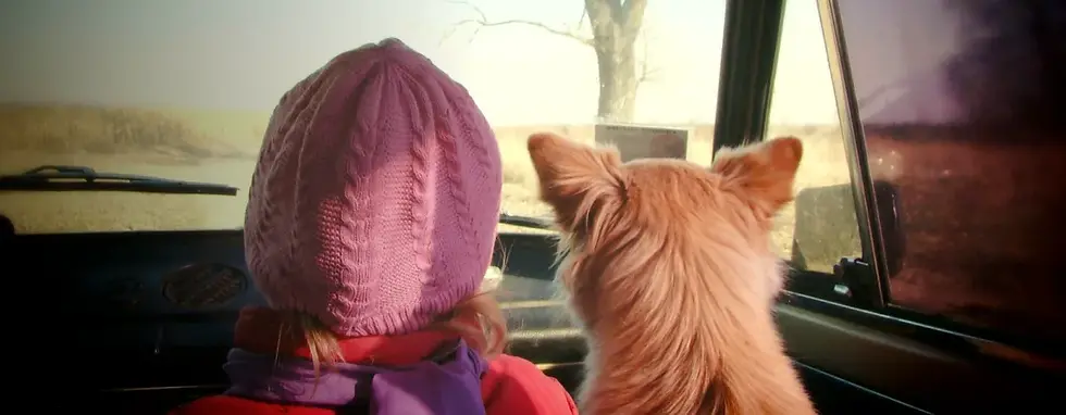 testimonial_hero_banner_1117x435 optimisé par chat gpt.webp