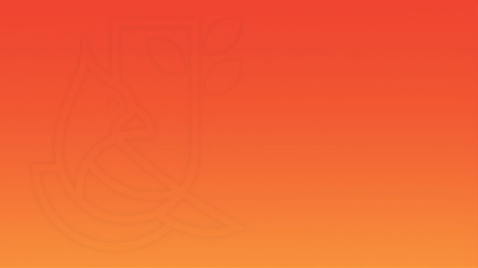 judy-brandedbg-orange-yellow.jpg