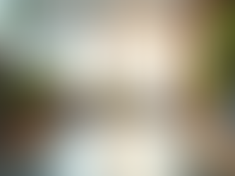 A calm office environment promoting mental wellness