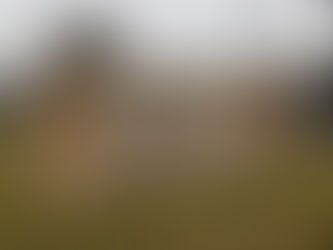 MLHS Teen arrested after assaulting fellow classmate