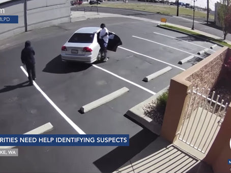 MLPD need help searching for suspects as tagging rises across the area