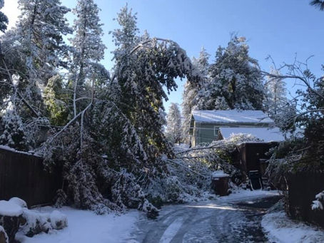Record-breaking 4 inches of snow fell in the Spokane area this week