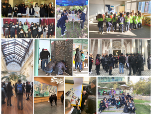 Los colegios como espacios de encuentro local 