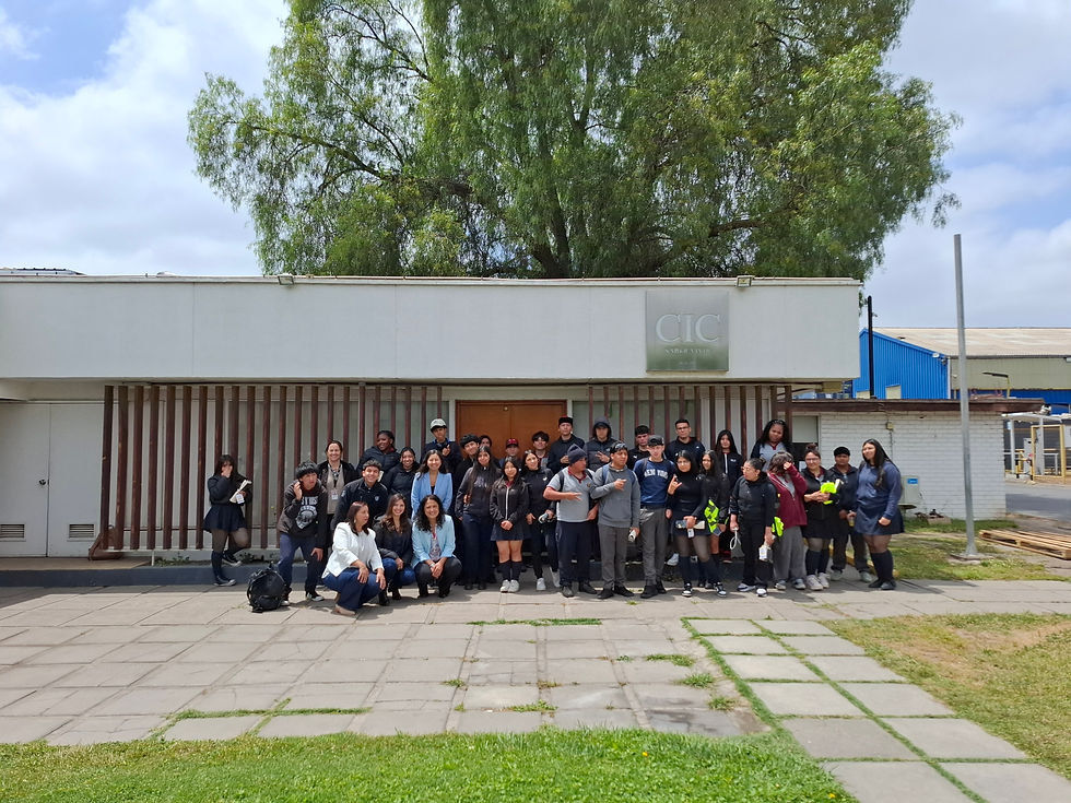 Fibra - Emprendimiento Joven 1