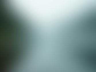 The Art of Mindful Living