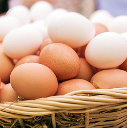 eggs.jpg
