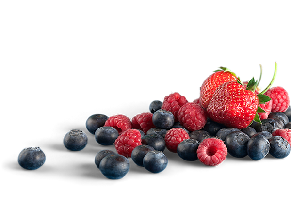 Untitled design (22).png