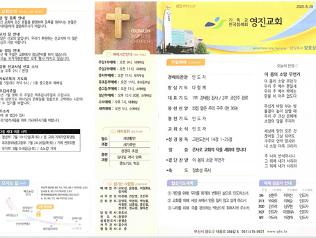 2025s년 6월 29일