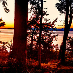 the ladies across the bay