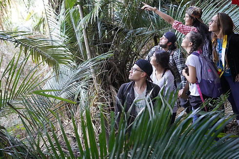 alunos_observando_natureza.jpeg