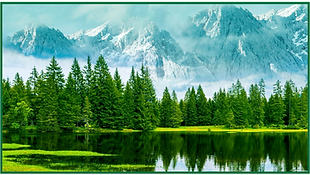 Gorgeous image of evergreens by still green waters with white mountains towering in the background.