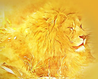Golden head of a lion