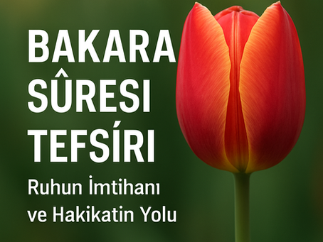 Bakara Suresi Tefsiri