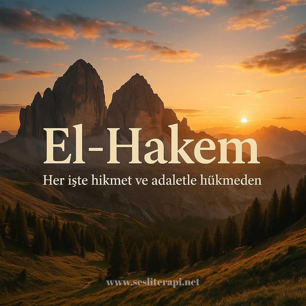 el-hakem-anlami