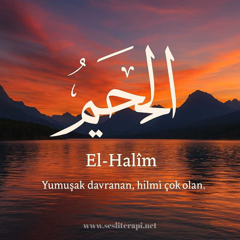 El-Halîm anlamı, tasavvufta El-Halîm, Yâ Halîm zikri