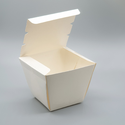 Standard Take Away Box Paper Based | DG Print | Kuala Lumpur