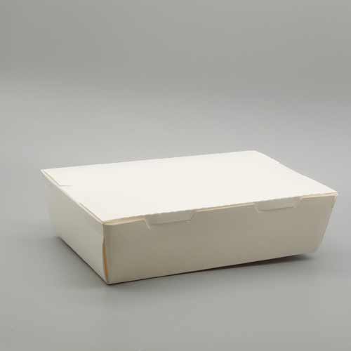 DP150 Lunch Box Single | DG Print | Kuala Lumpur