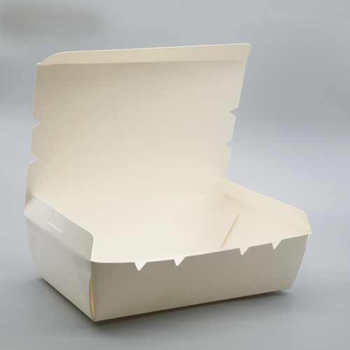 DP150 Lunch Box Single | DG Print | Kuala Lumpur