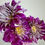 Thumbnail: Dahlia (Decorative - 5 stems)