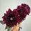 Thumbnail: Dahlia (Decorative - 5 stems)