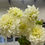 Thumbnail: Dahlia (Decorative - 5 stems)