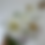 Thumbnail: Cosmos