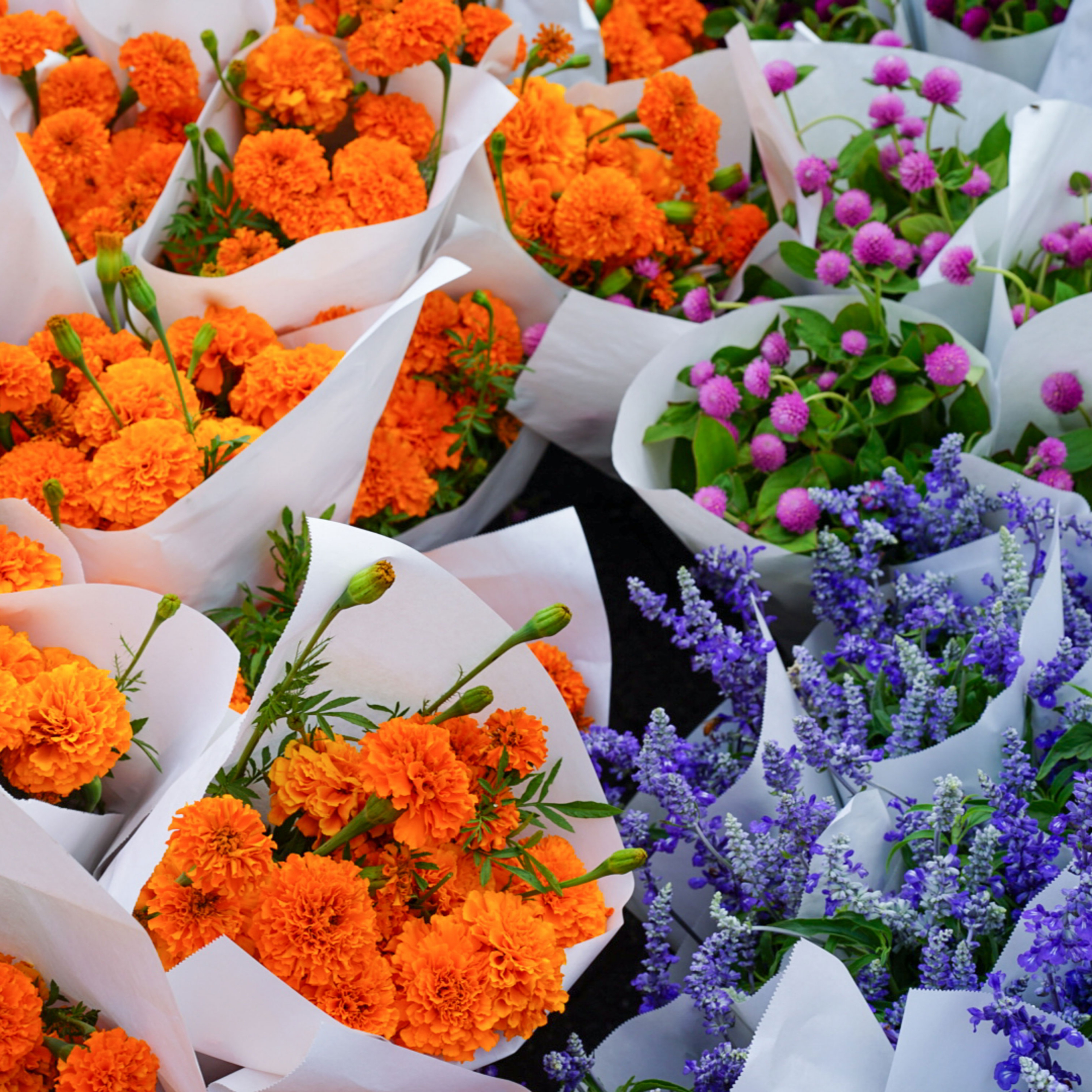 Close up of a florist's hands carefully arranging sustainable local wildflowers.