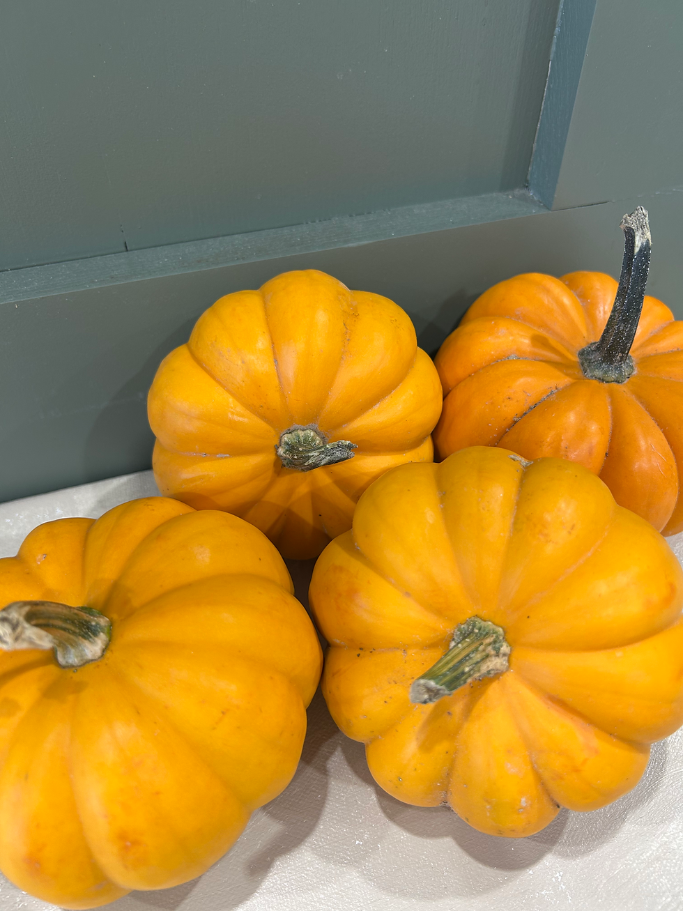 Thumbnail: Mini Pumpkin / Gourd Box