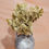 Thumbnail: Dried Hydrangea Arrangement