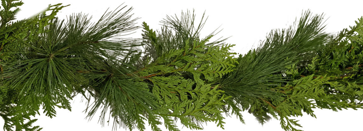 10’ Cedar & Pine Garland