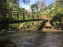 Bali Instagram Falls Private Tour