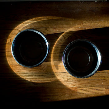 A metal food bowl and a metal water bowl sit in rings of light on a wooden floor.