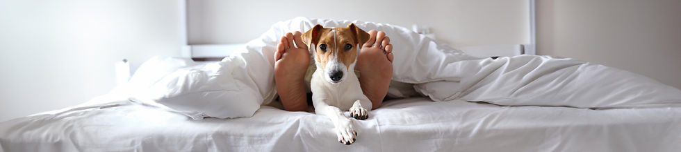 iStock-1210519070 copy.jpg