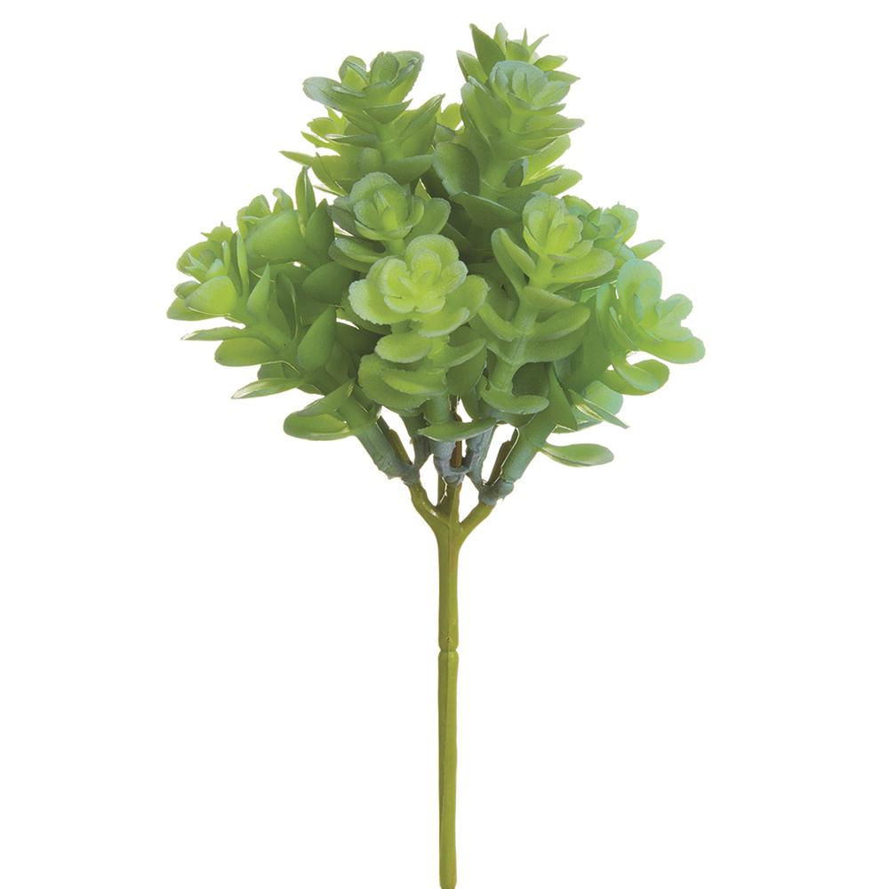 7.5" Real Touch Sedum 