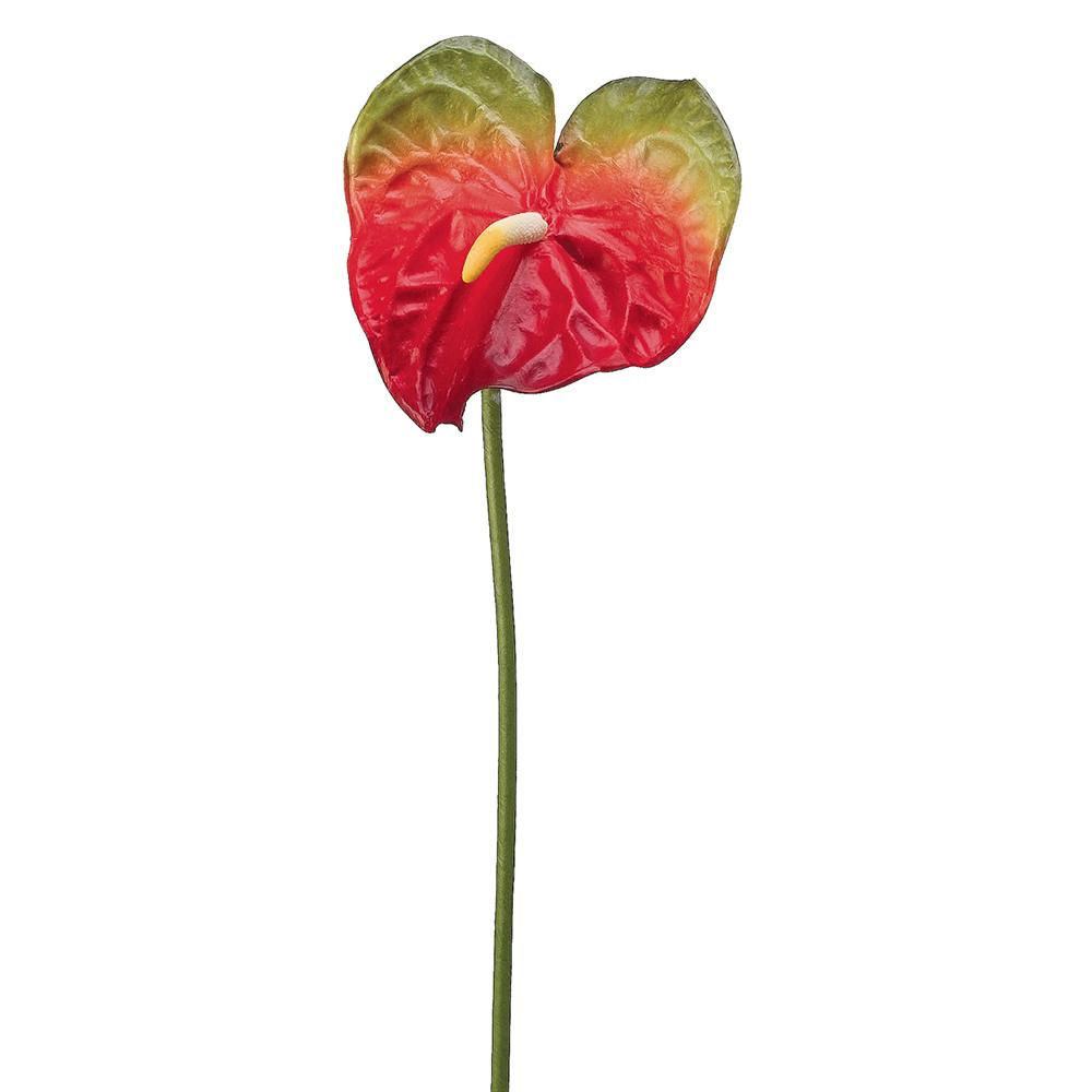 27" Large Anthurium