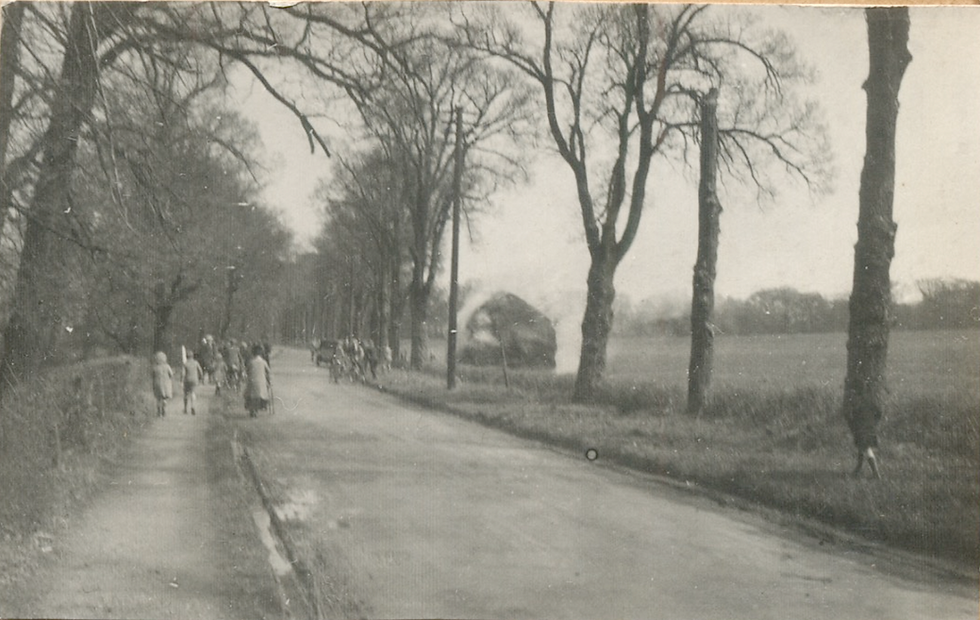 Mutton/Denham/Crowte3