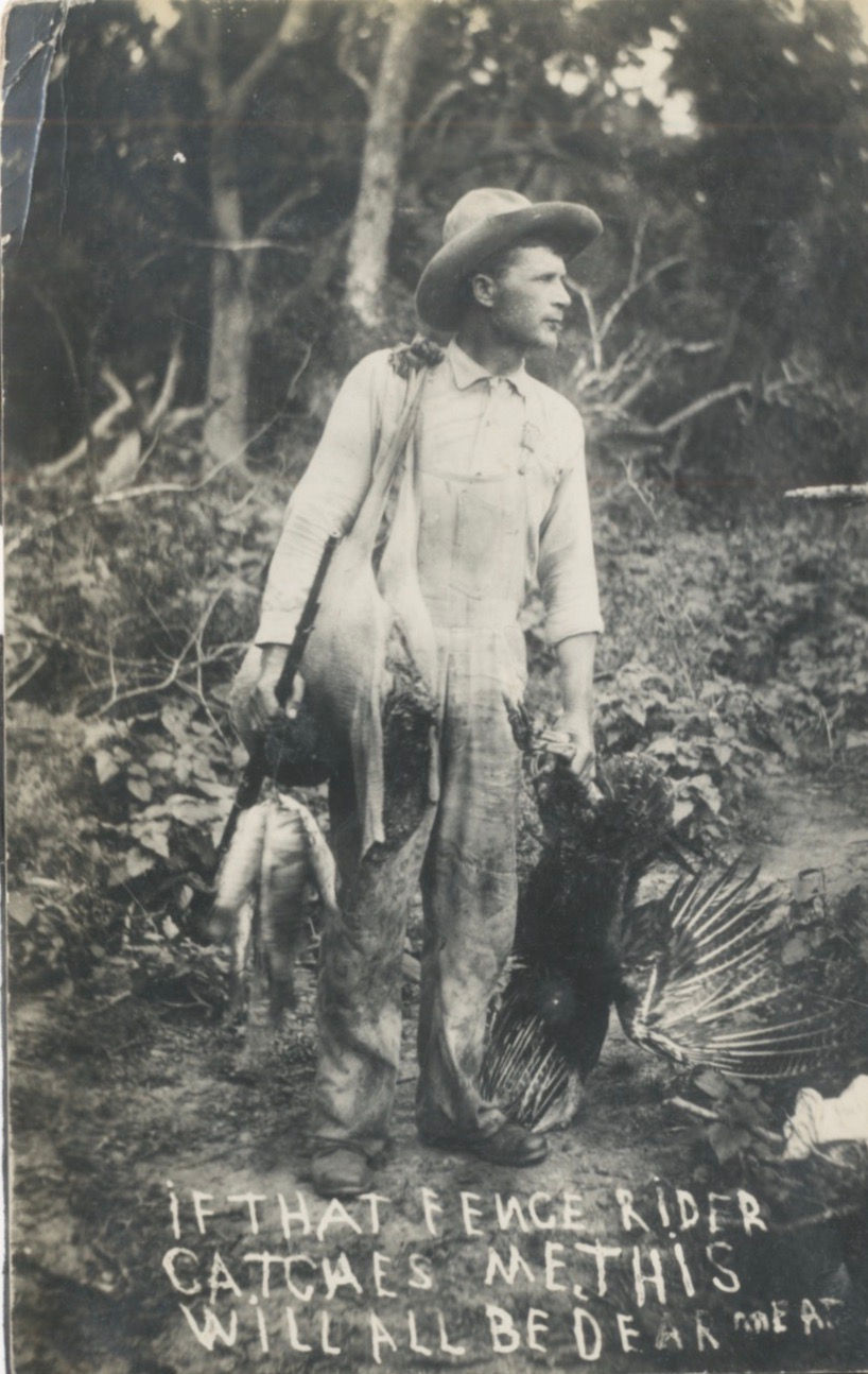 Johnson Album Postcard.