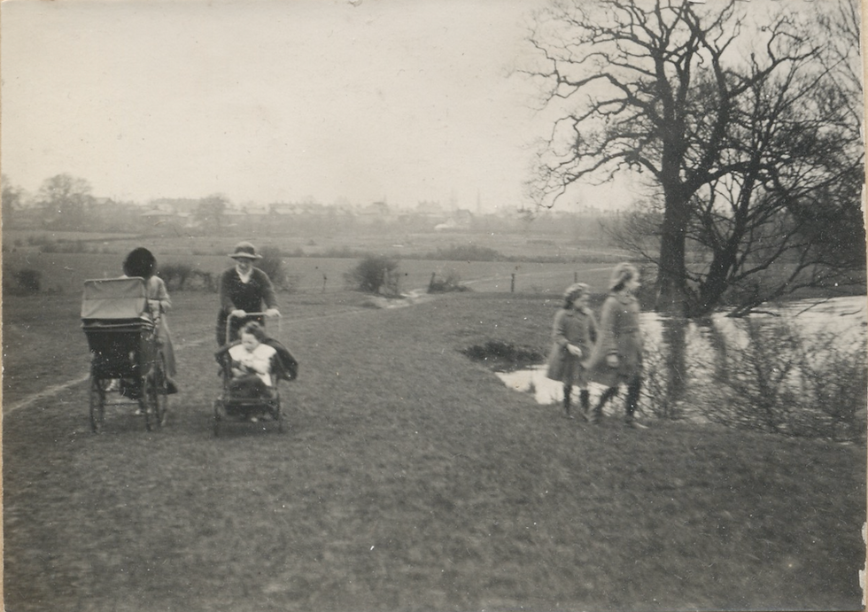 Mutton/Denham/Crowte40