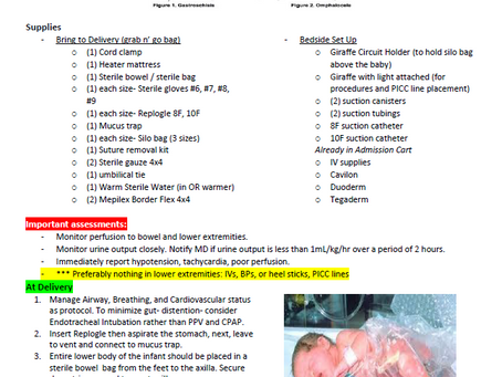 Gastroschisis: Navigating Management from the Delivery Room to the NICU