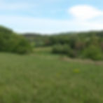 Le troupeau dans le fond du paysage