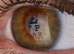 homepage-photos_eye-1024x344_edited.jpg