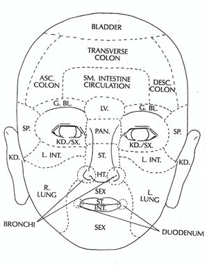 Face Organ Map.jpg