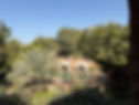 IMG_2856.jpeg