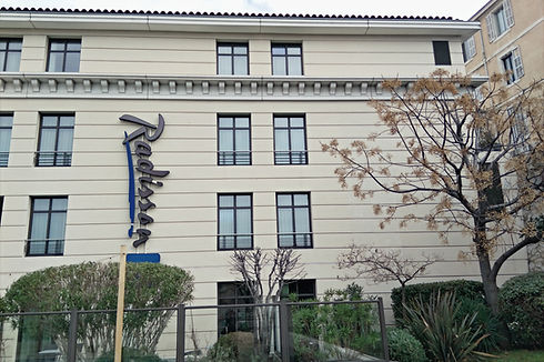 hotel radisson blu
