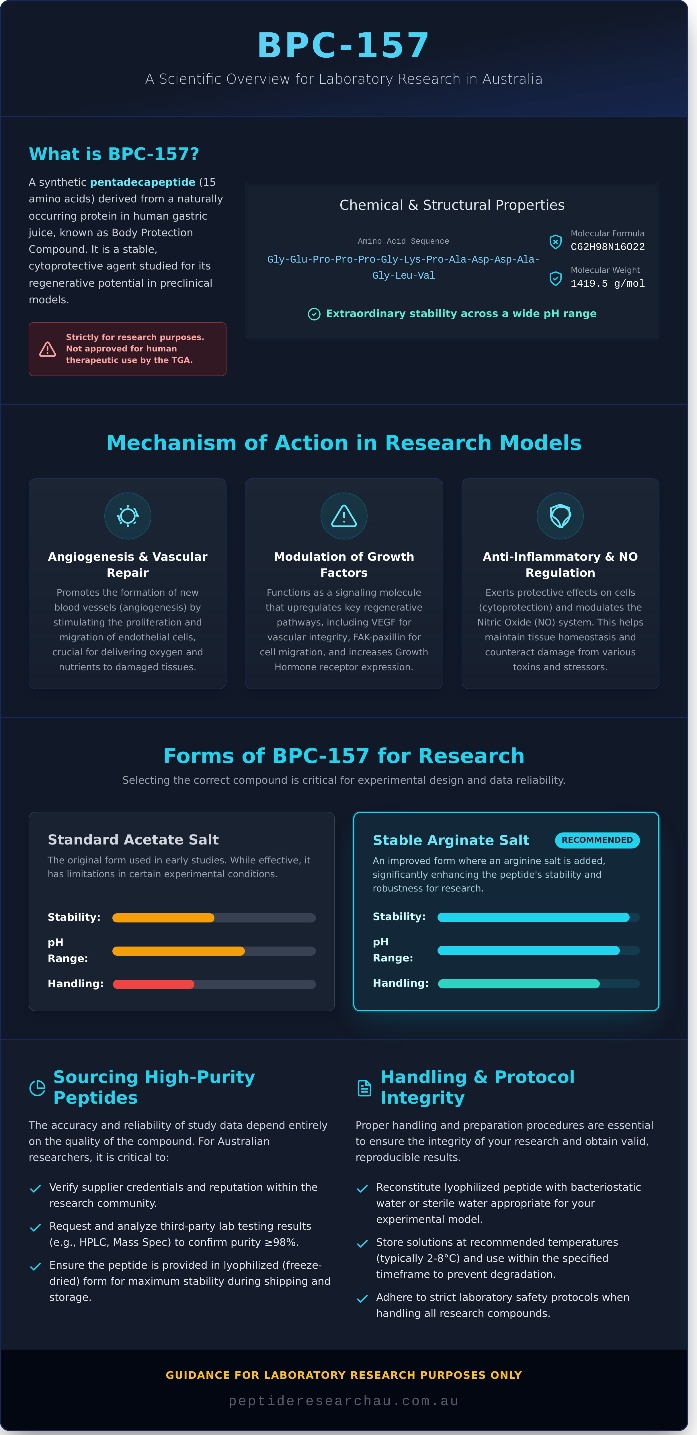 Bpc 157 infographic - visual guide