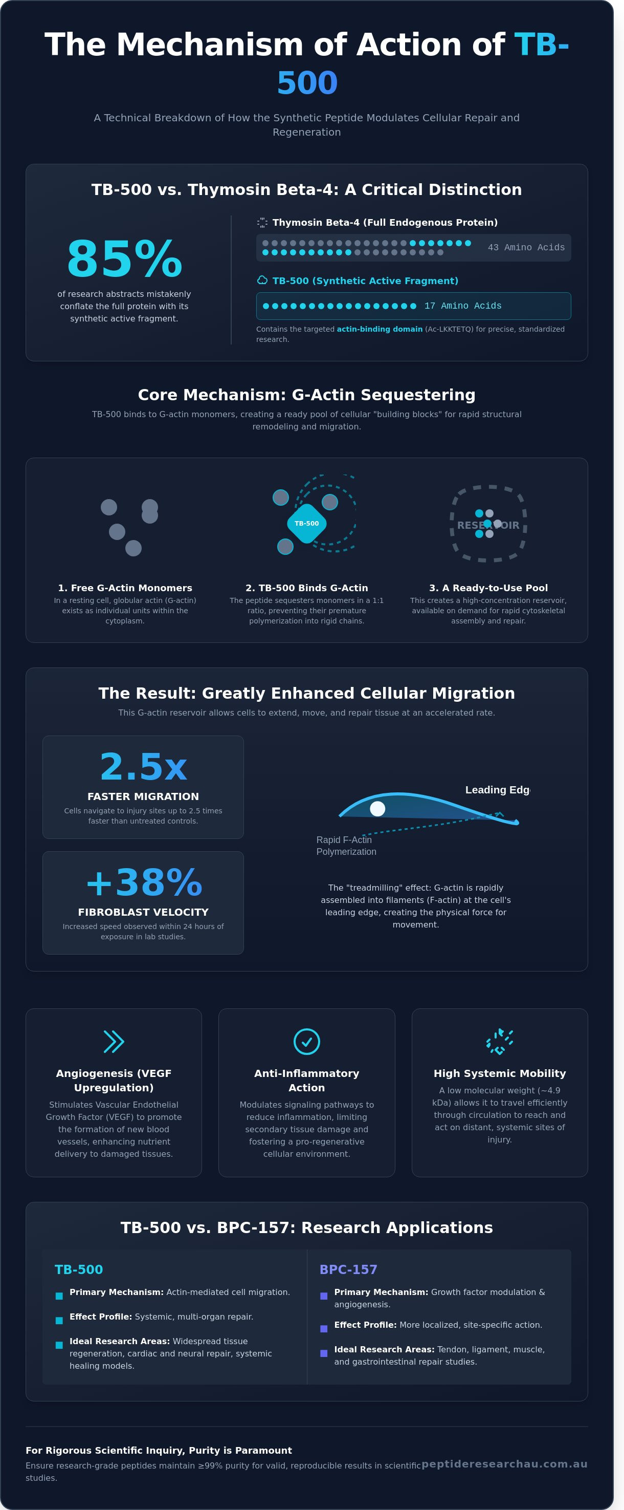 Tb-500 mechanism of action