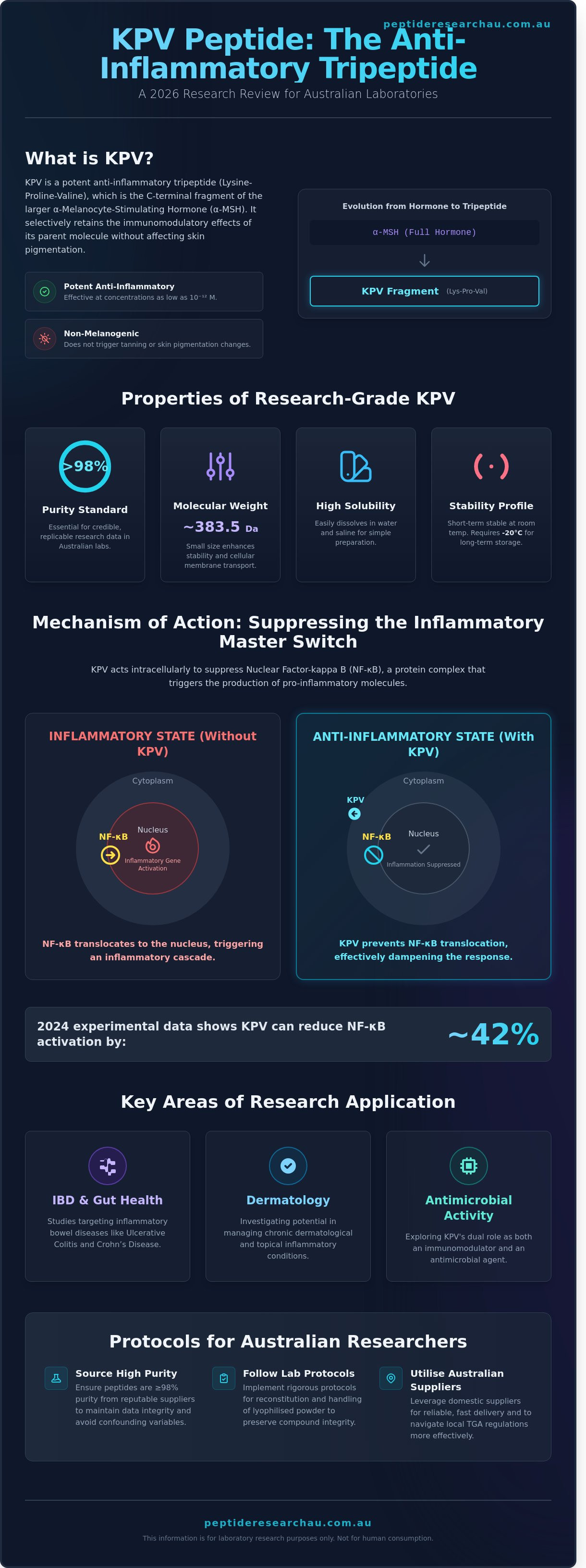 Kpv peptide anti-inflammatory studies