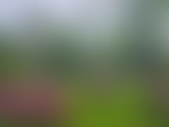 Spring flowers in full bloom along Rue Second Street in the Natchitoches National Historic Landmark District